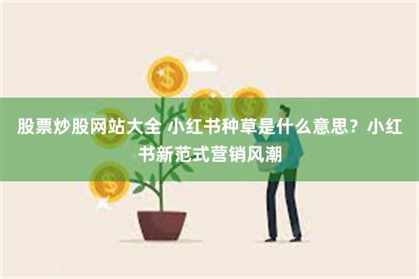 股票炒股网站大全 小红书种草是什么意思？小红书新范式营销风潮