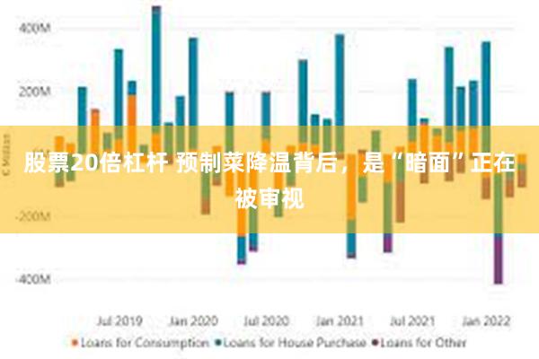 股票20倍杠杆 预制菜降温背后，是“暗面”正在被审视