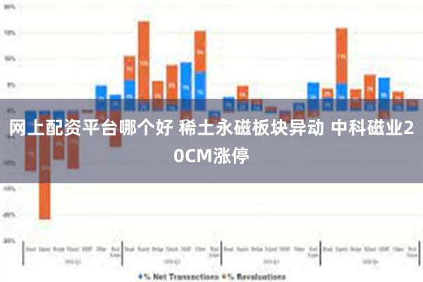 网上配资平台哪个好 稀土永磁板块异动 中科磁业20CM涨停