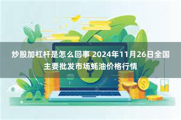 炒股加杠杆是怎么回事 2024年11月26日全国主要批发市场蚝油价格行情